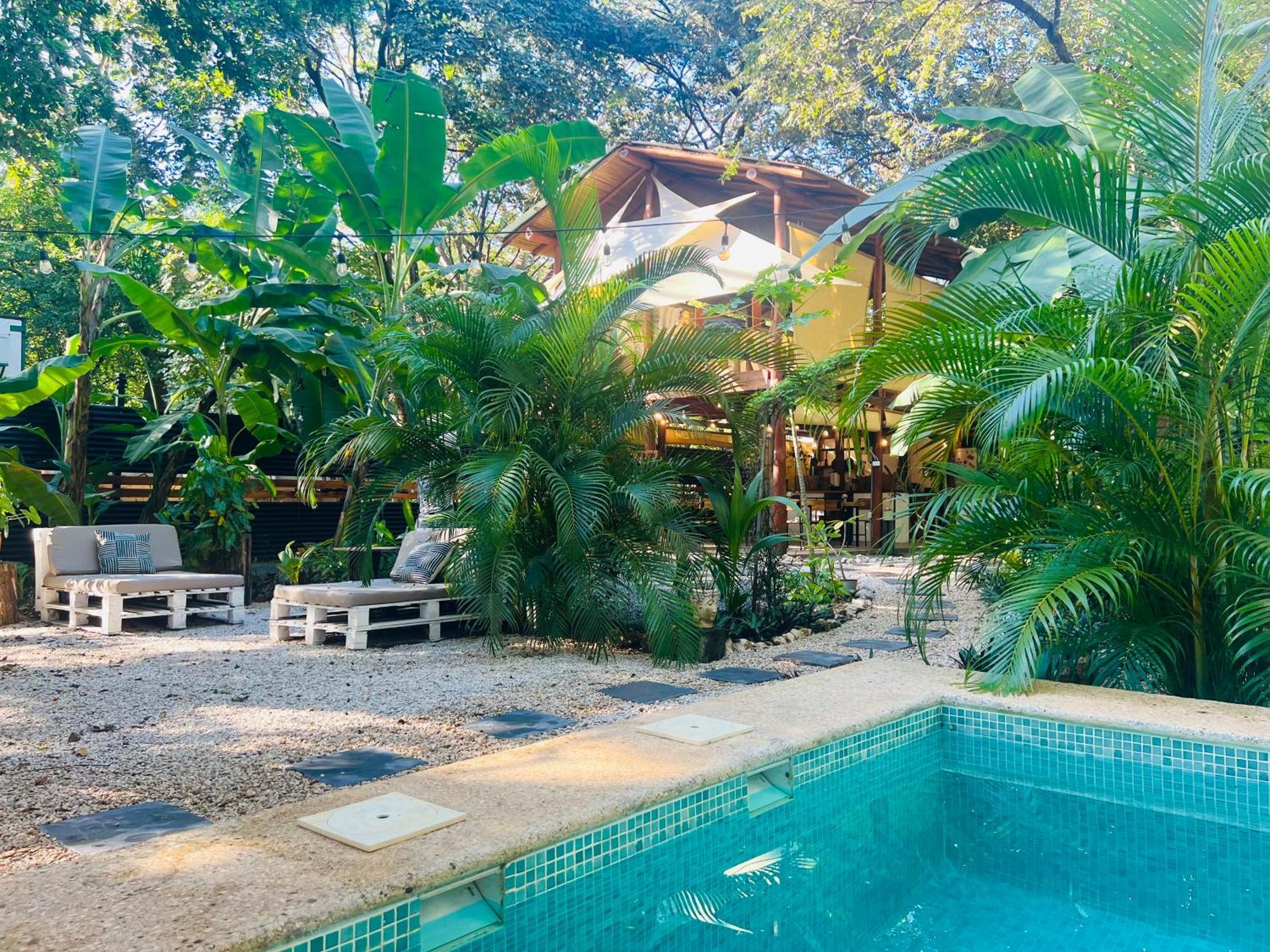 Calipso Ocean Lodge- Avellana Beach Hotel Playa Avellana Exteriör bild